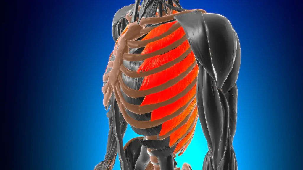 ¿Qué es una distensión muscular intercostal?