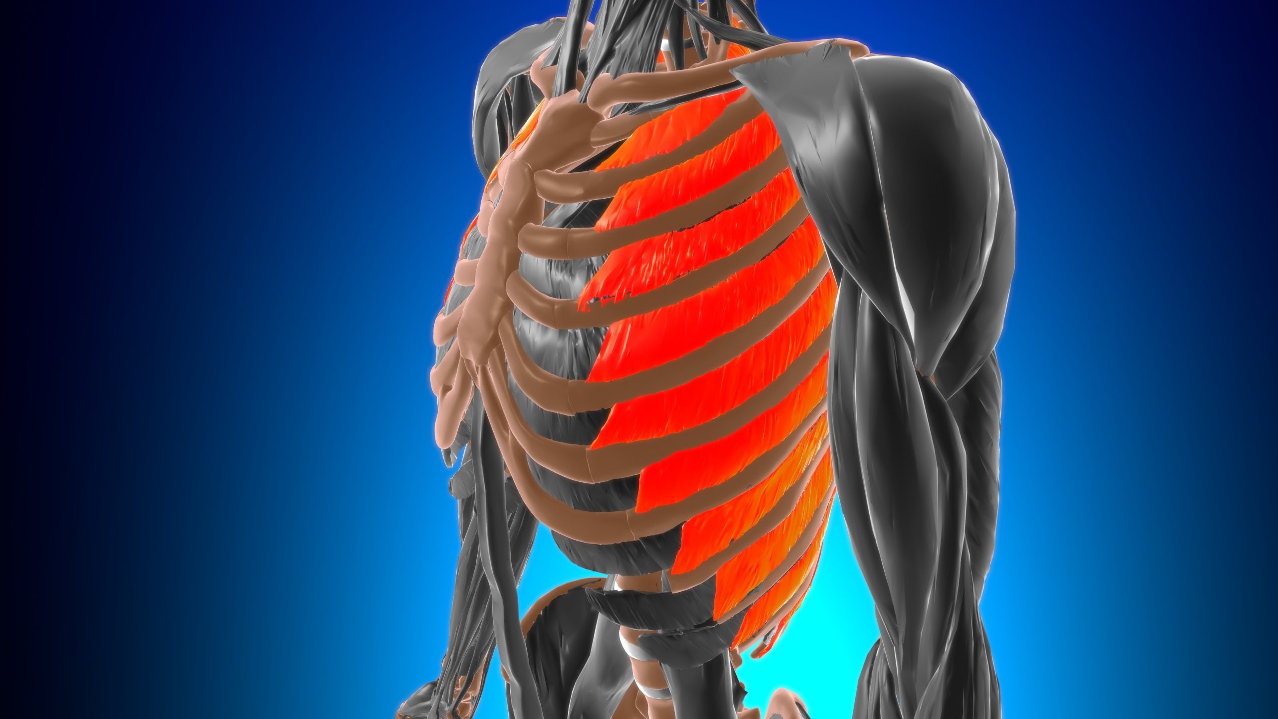 Pulled Muscle In Chest From Coughing