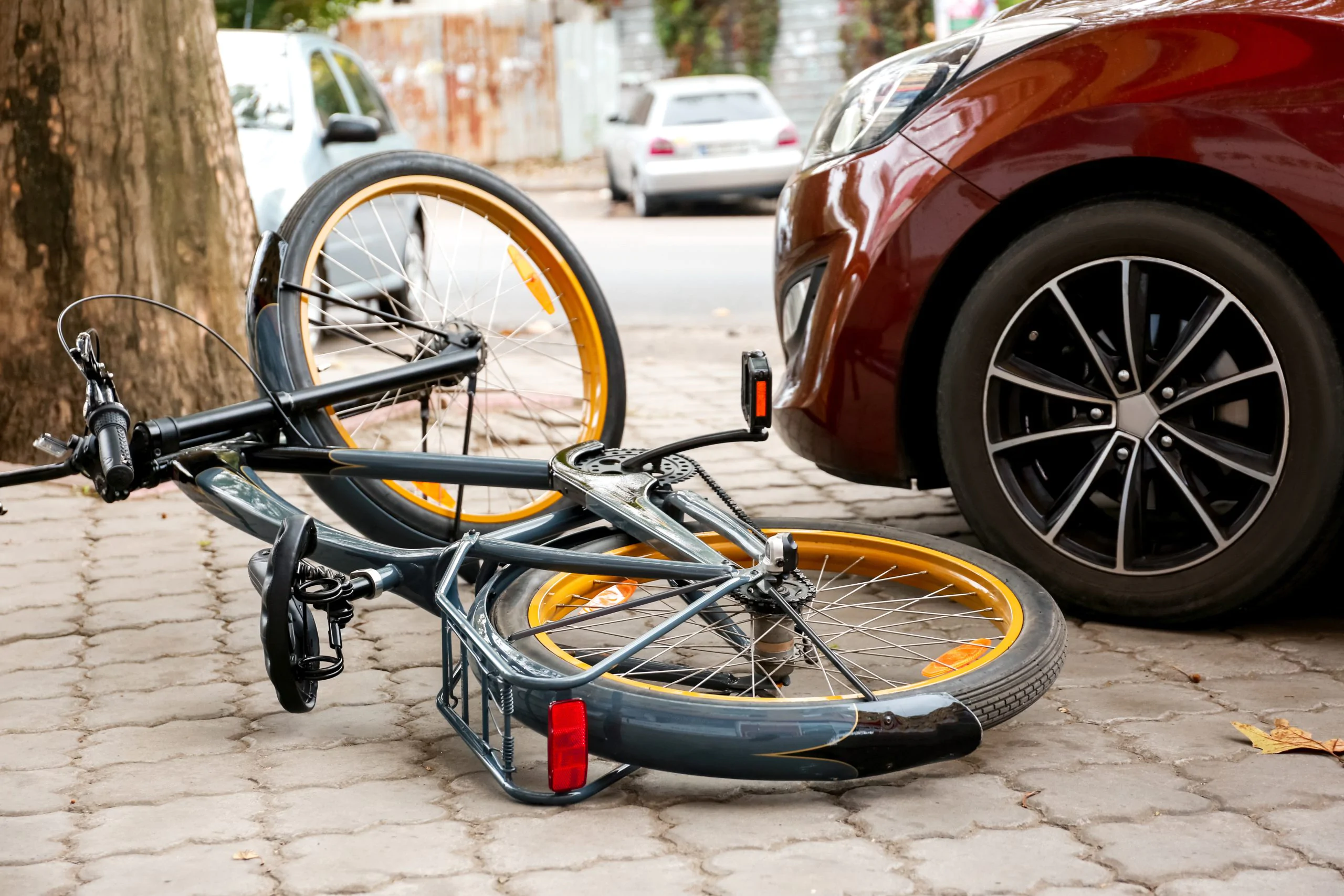 bicycle accident victim sues for injuries