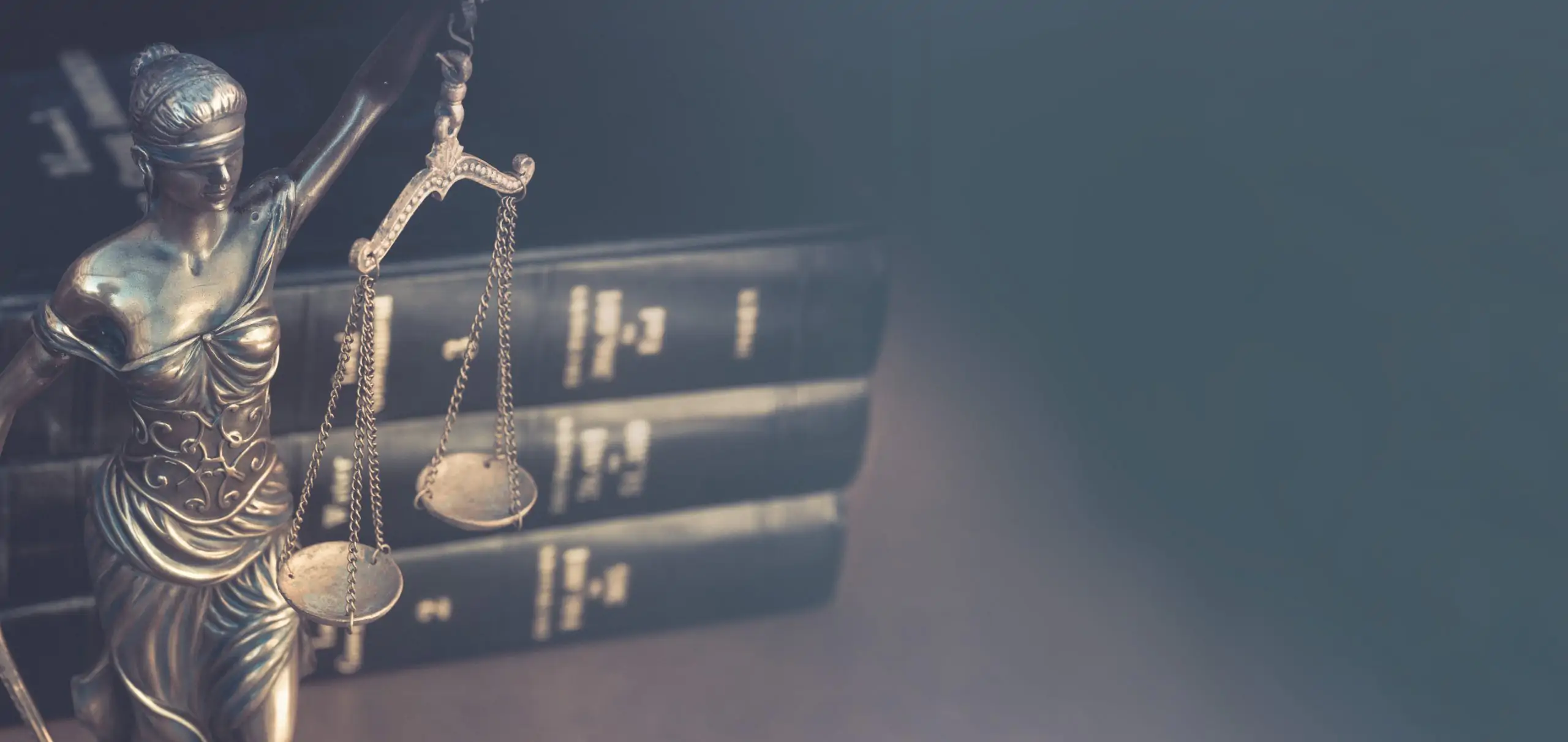 legal justice system practice area page